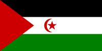 Western Sahara Polyester Flag