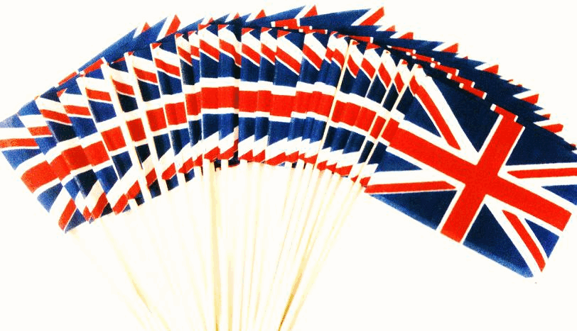 Miniature Flags | World and State | Rayon, Polyester, Cotton | World ...