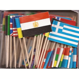 a photo of a pack of world flag toothpicks