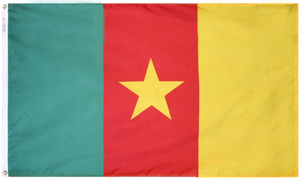 Cameroon Nylon Flag