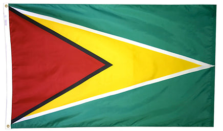 Guyana Nylon Flag