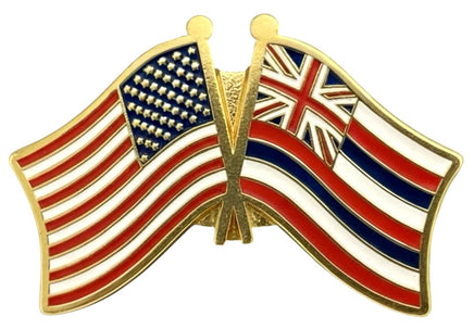 Hawaii Double Flag Pin