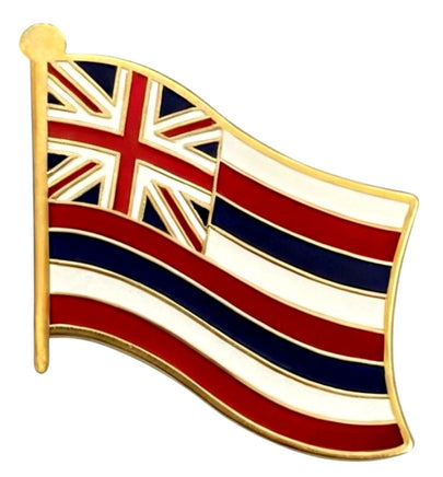 Hawaii Single Flag Pin