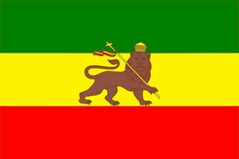 Old Ethiopia Lion