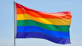 Rainbow 3'x5' Polyester Flag