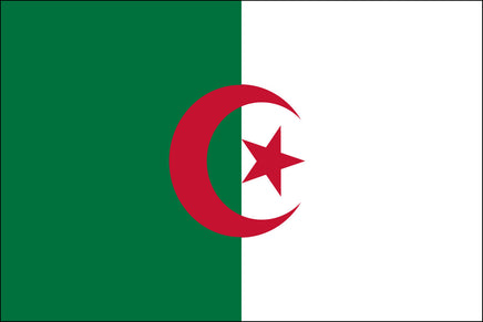 Algeria 3'x5' Nylon Flag