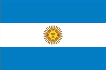 Argentina 2'x3' Polyester Flag