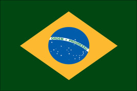 Brazil 2'x3' Polyester Flag