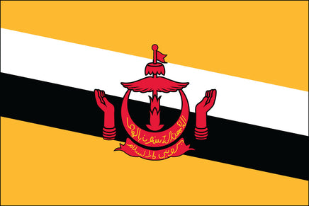 Brunei 3'x5' Nylon Flag