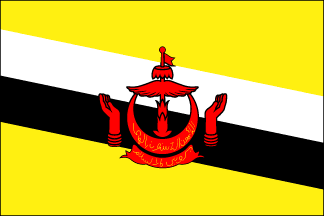 Brunei Polyester Flag