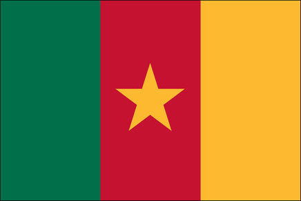 Cameroon 2x3 Polyester Flag