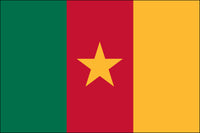 Cameroon 2x3 Polyester Flag