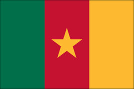 Cameroon 3'x5' Nylon Flag