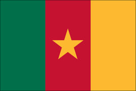 Cameroon 3'x5' Nylon Flag