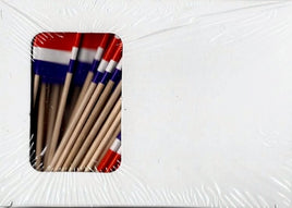 Costa Rica Toothpick Flags