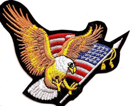 Eagle With Flag Patch