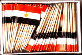 Egypt Toothpick Flags