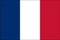 France 2x3 Polyester Flag