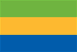 Gabon 3'x5' Nylon Flag