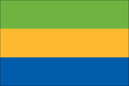 Gabon 3'x5' Nylon Flag