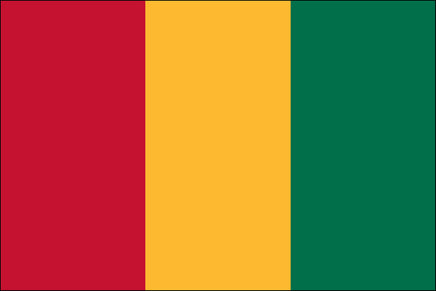 Guinea 3'x5' Nylon Flag