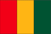 Guinea Polyester Flag