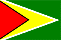 Guyana Polyester Flag