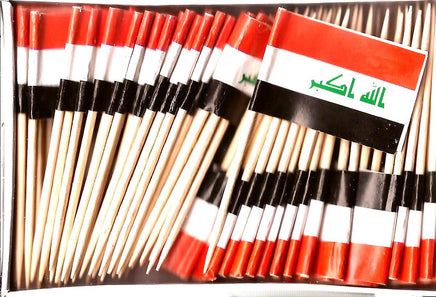 Iraq Toothpick Flags