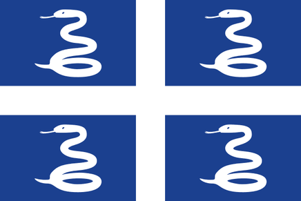 Martinique Polyester Flag