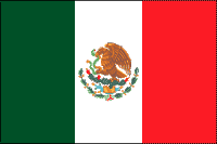 Mexican Polyester Flag