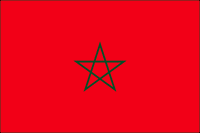 Moroccan Polyester Flag
