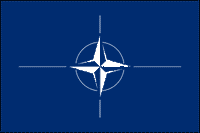 NATO Polyester Flag
