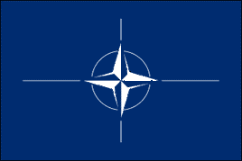 NATO Polyester Flag