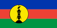 New Caledonia Polyester Flag