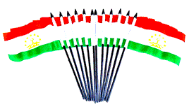 Tajikistan Polyester Miniature Flags - 12 Pack