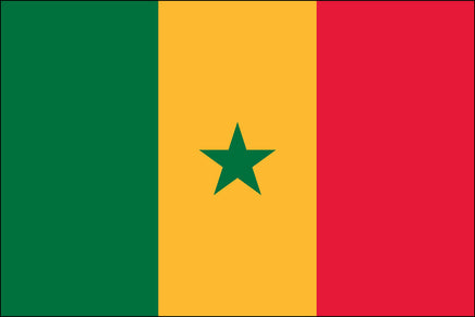 Senegal 2x3 Polyester Flag