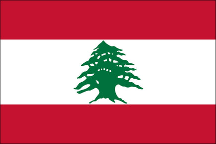 Lebanon 3'x5' Nylon Flag