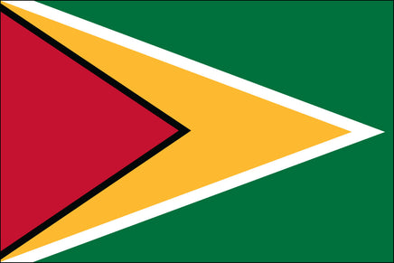 Guyana 3'x5' Nylon Flag