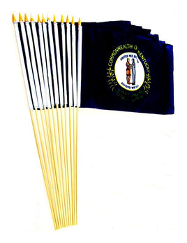 Kentucky 12"x18" Stick Flag