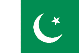Pakistan Polyester Flag