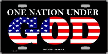 Patriotic License Plate US-137