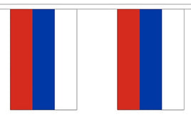 Russia String Flag Bunting