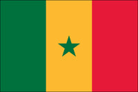 Senegal 2x3 Polyester Flag