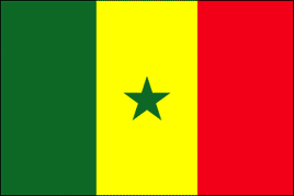 Senegal Polyester Flag