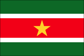 Surinam Polyester Flag