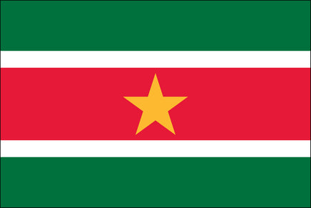 Suriname 3'x5' Nylon Flag