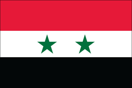 Syria 3'x5' Nylon Flag