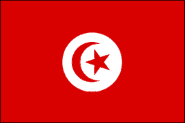 Tunisia Polyester Flag