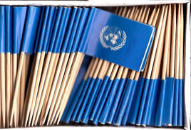 United Nations Flag Toothpicks