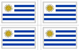 Uruguay Flag Stickers - 50 per sheet